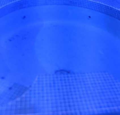 Hotel Las Brisas主图