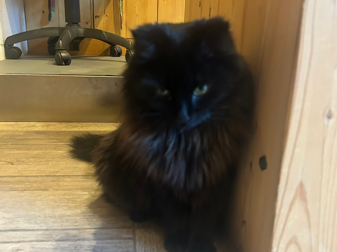 Hotel La Baita主图