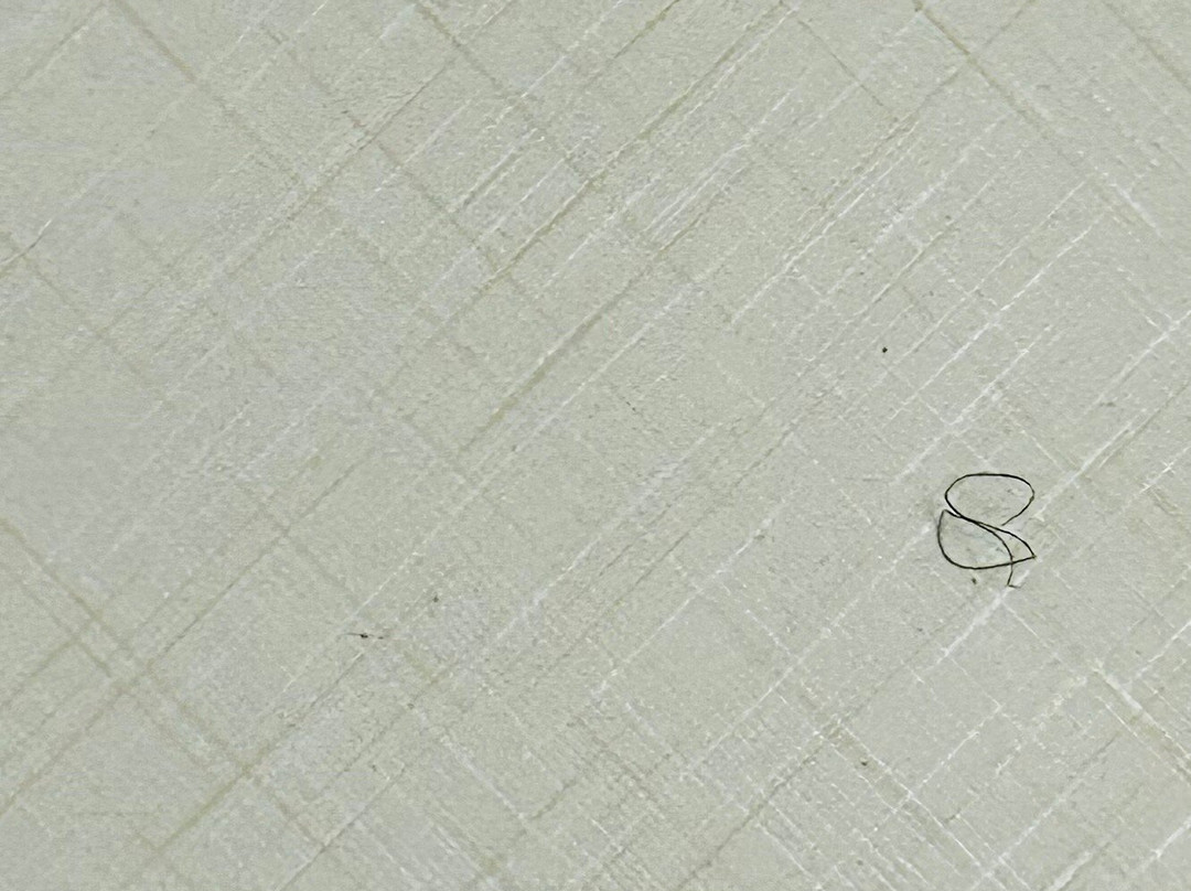 Home2 Suites by Hilton Whitestown Indianapolis NW主图