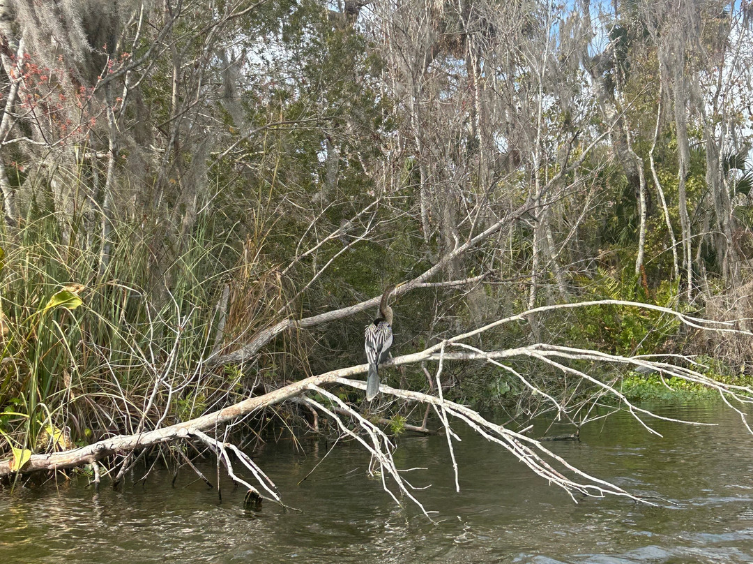 Ponce de Leon Springs State Park-Ponce de Leon必去景点
