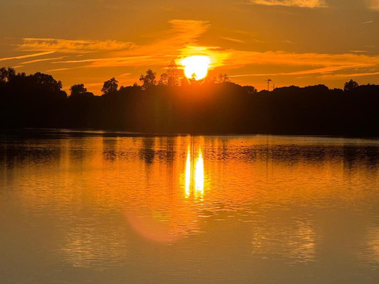 ON Acebuchal 23主图