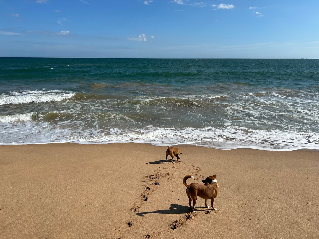Sleeping Elephant Beach Resort主图