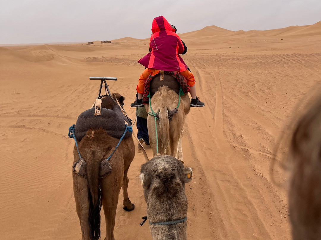 Haj Omar Service-扎古拉必去景点