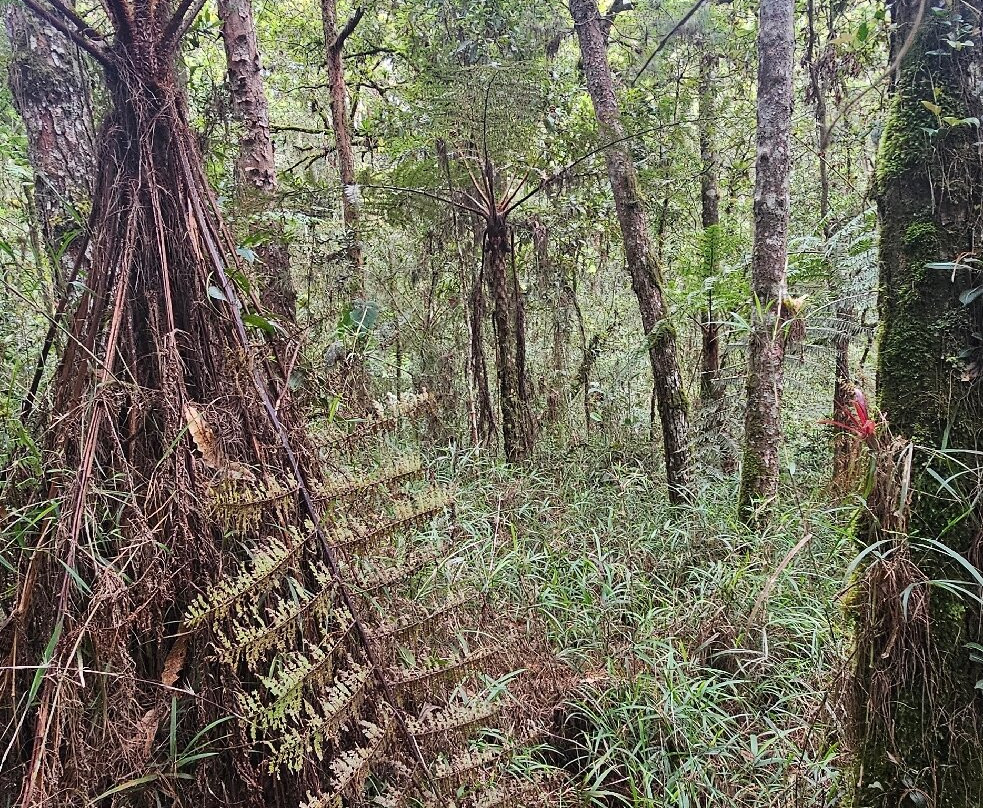 Rogitama Biodiversidad-Arcabuco必去景点