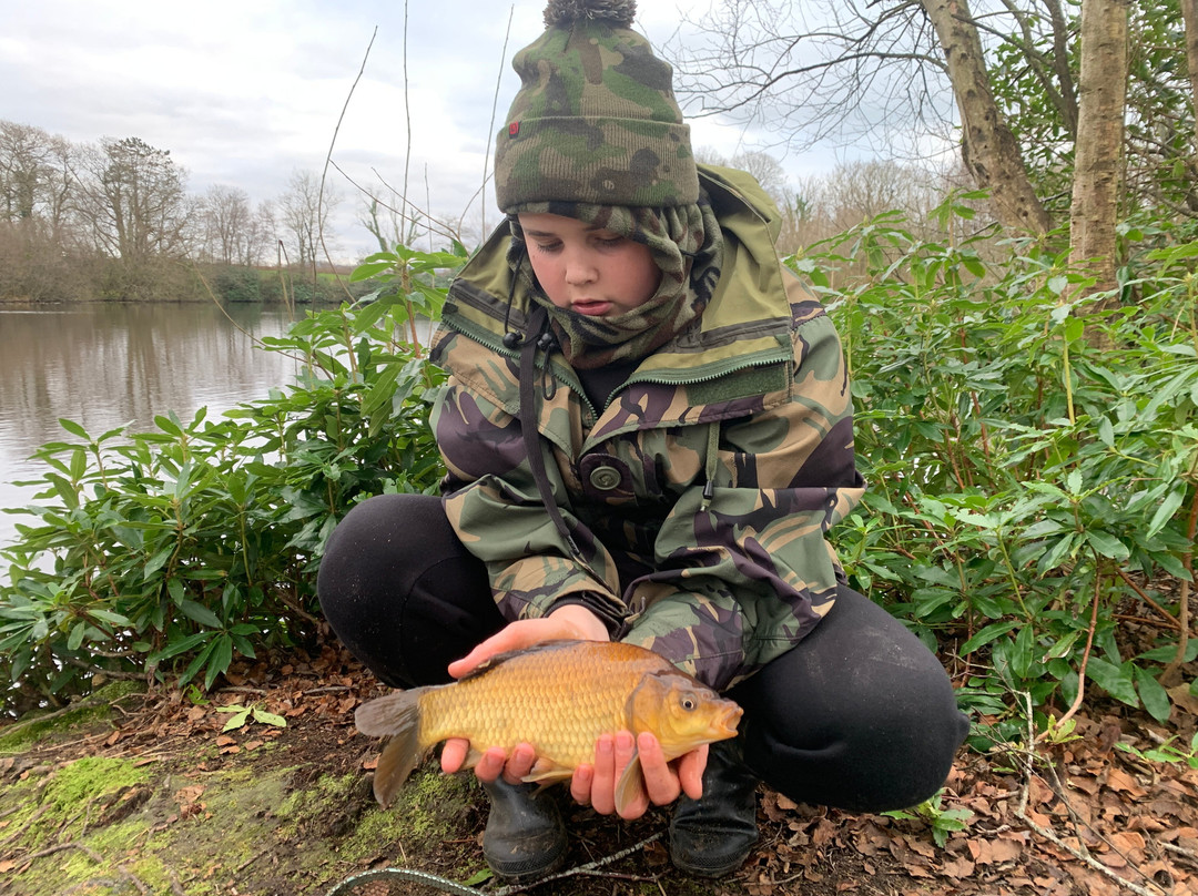 Bron Eifion Coarse Fishing-Criccieth必去景点