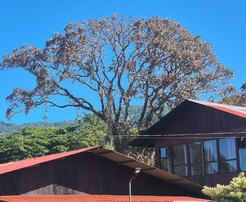 Cabinas Cecilia主图