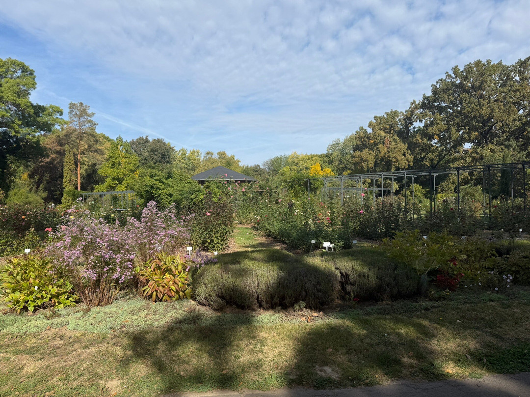 Botanical Garden of the University of Szeged-塞格德必去景点