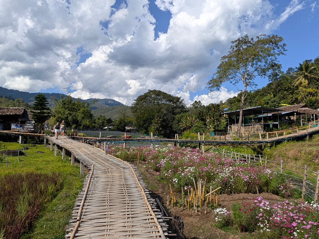 Boon Ko Ku So Bridge-拜县必去景点