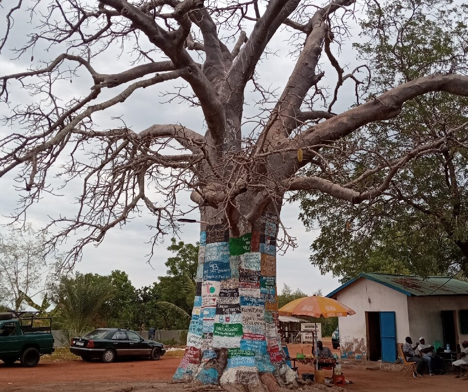 Kawsu Tours-Karang必去景点