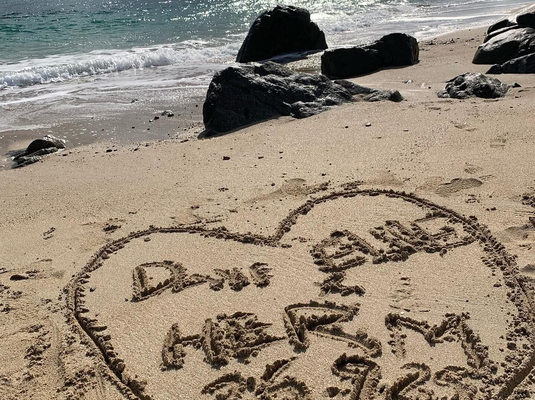 Shell Beach-Herm必去景点