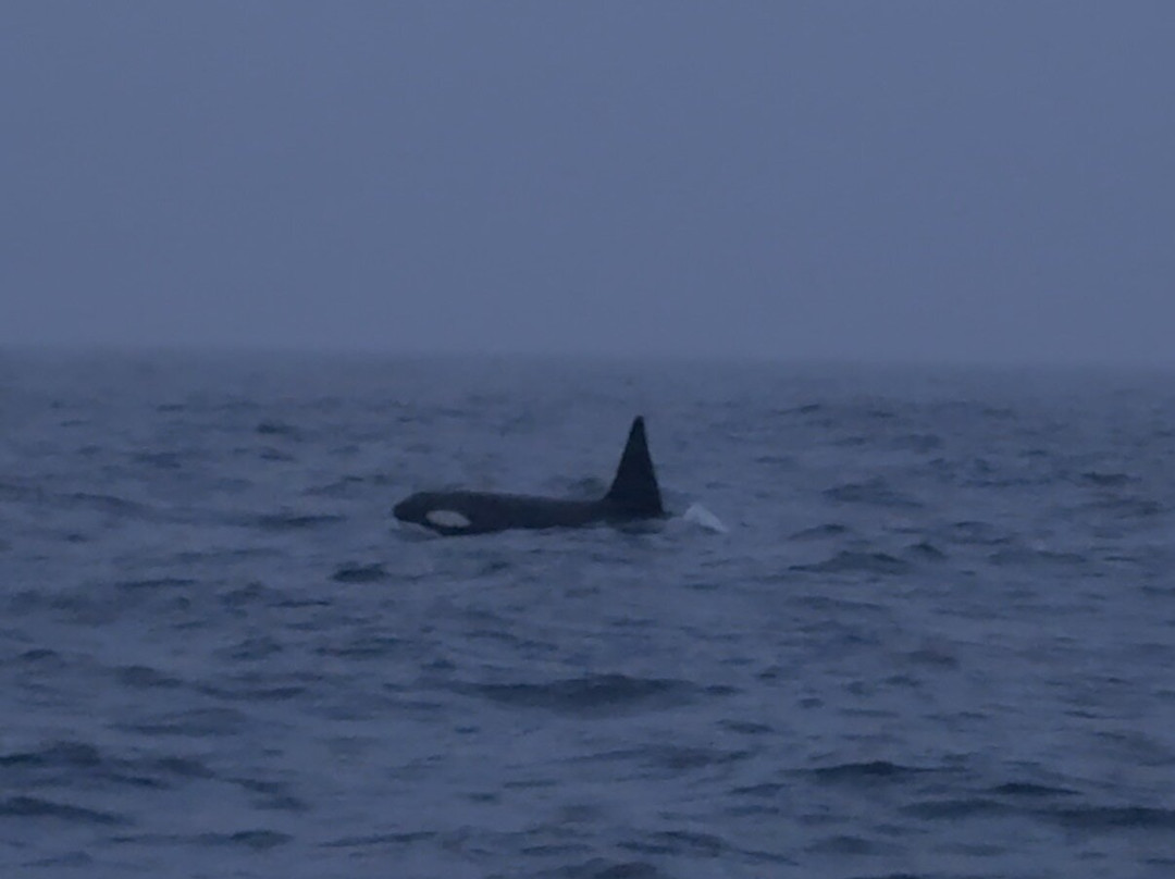 Explore 70 Degrees-Skjervoy必去景点