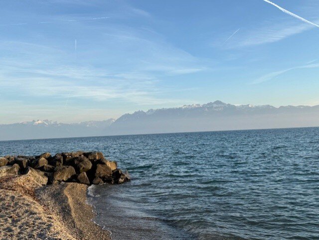 Starling Hotel Lausanne-官方