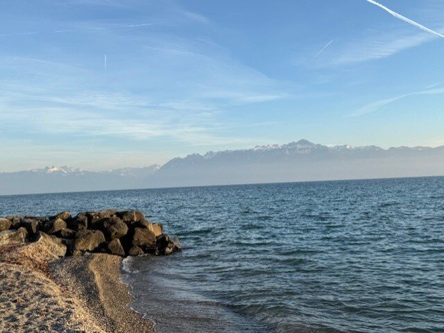 Starling Hotel Lausanne主图