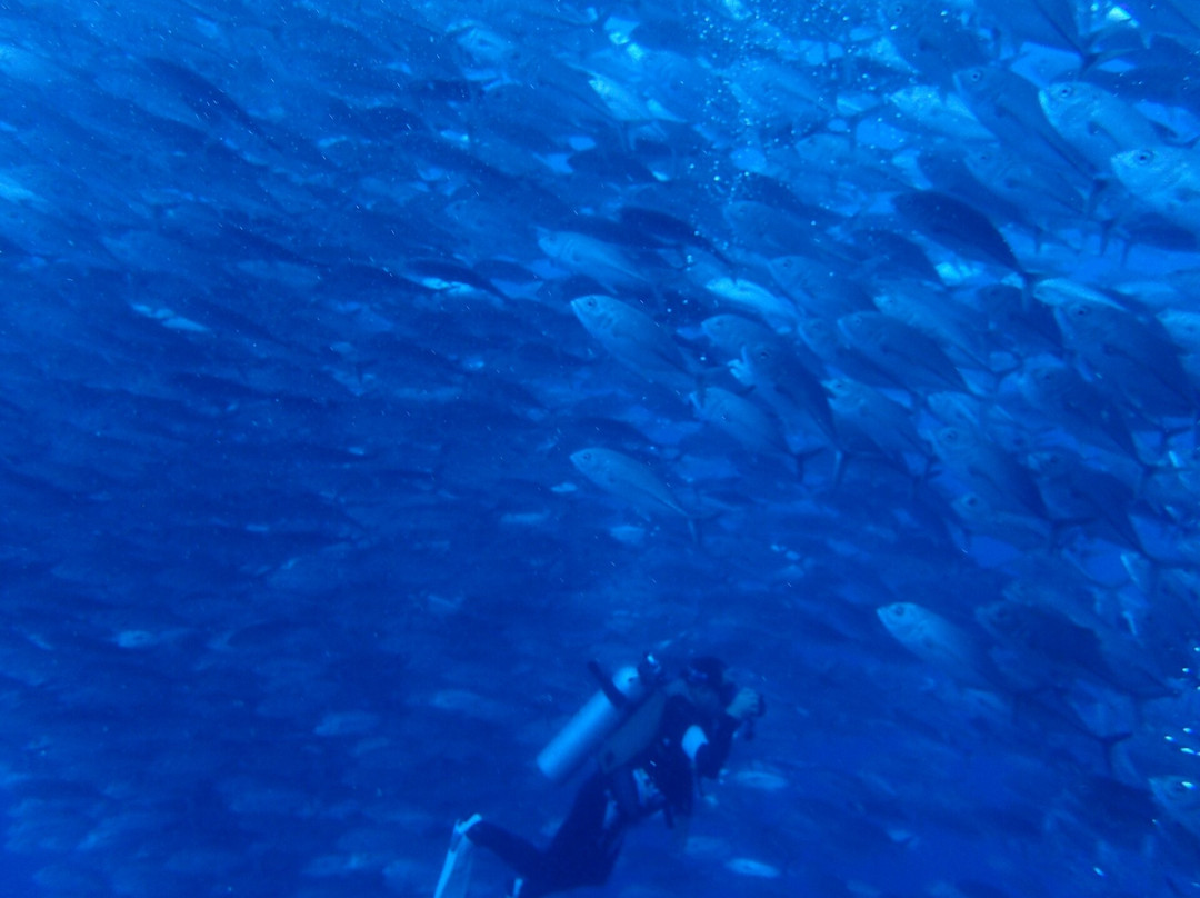 菲律宾乐趣潜水-薄荷岛必去景点