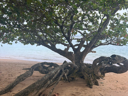 阿尼尼海滩-可爱岛必去景点