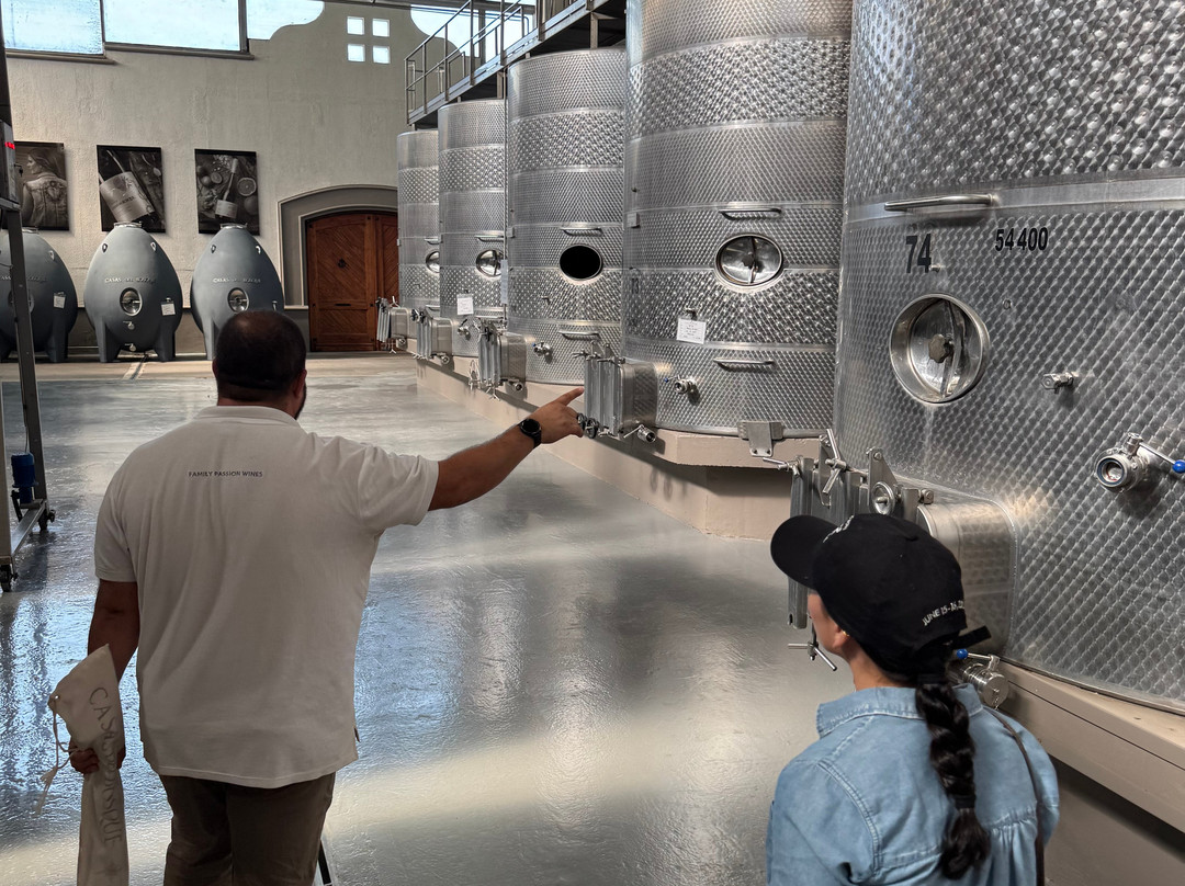 Viña Casas del Bosque-卡萨布兰卡必去景点