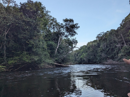 Amazon Green Island tour-Novo Airao必去景点