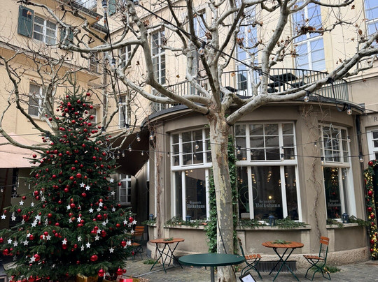 Boutique & Design Hotel Volkshaus Basel主图