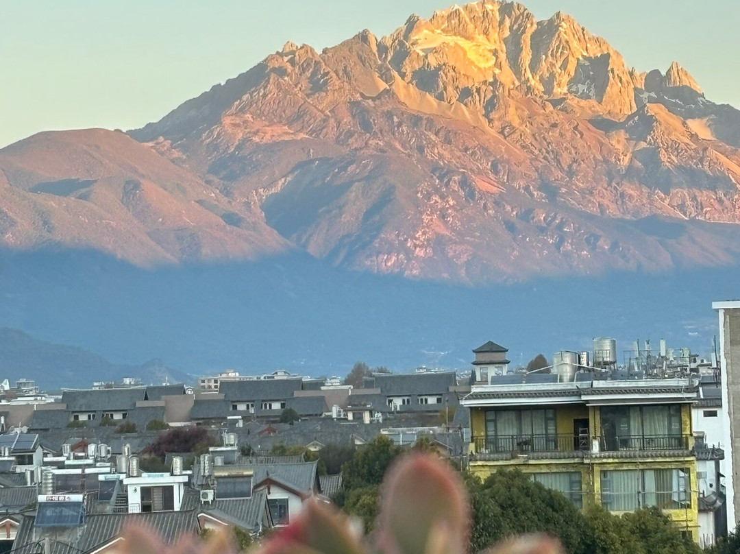 My Panda Tours-成都必去景点