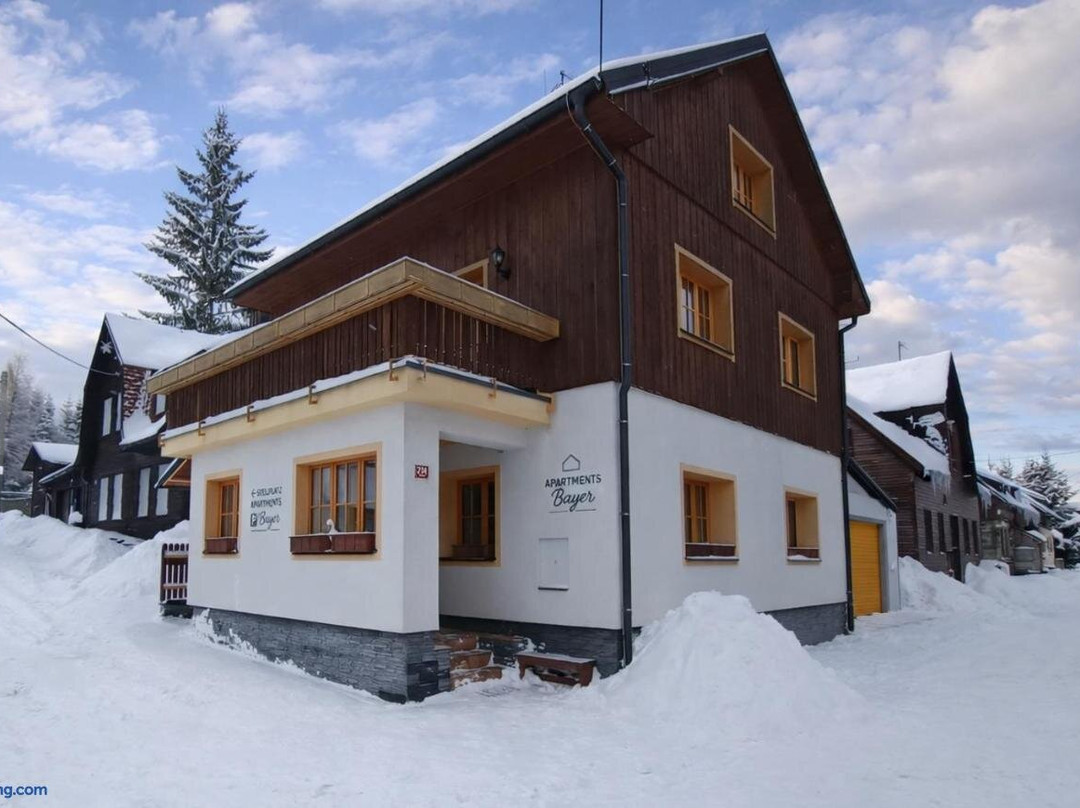 Apartments Pavel