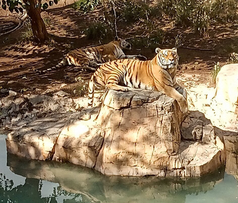 Terra Natura Benidorm-贝尼多姆必去景点