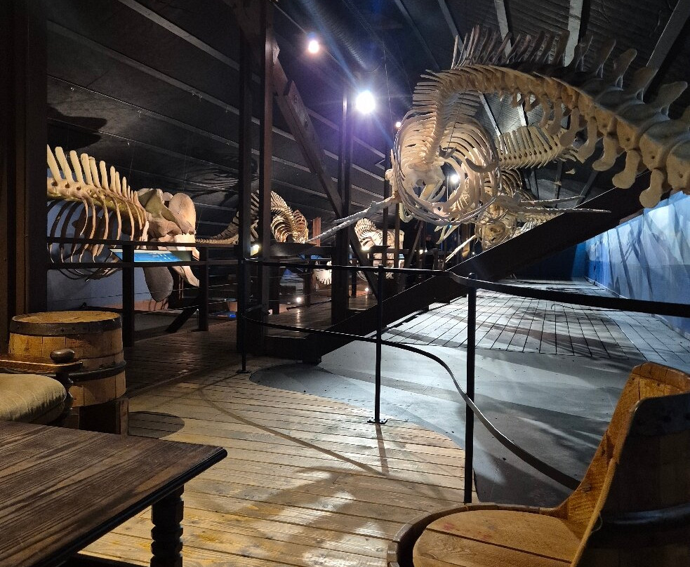 胡萨维克鲸博物馆-胡萨维克必去景点