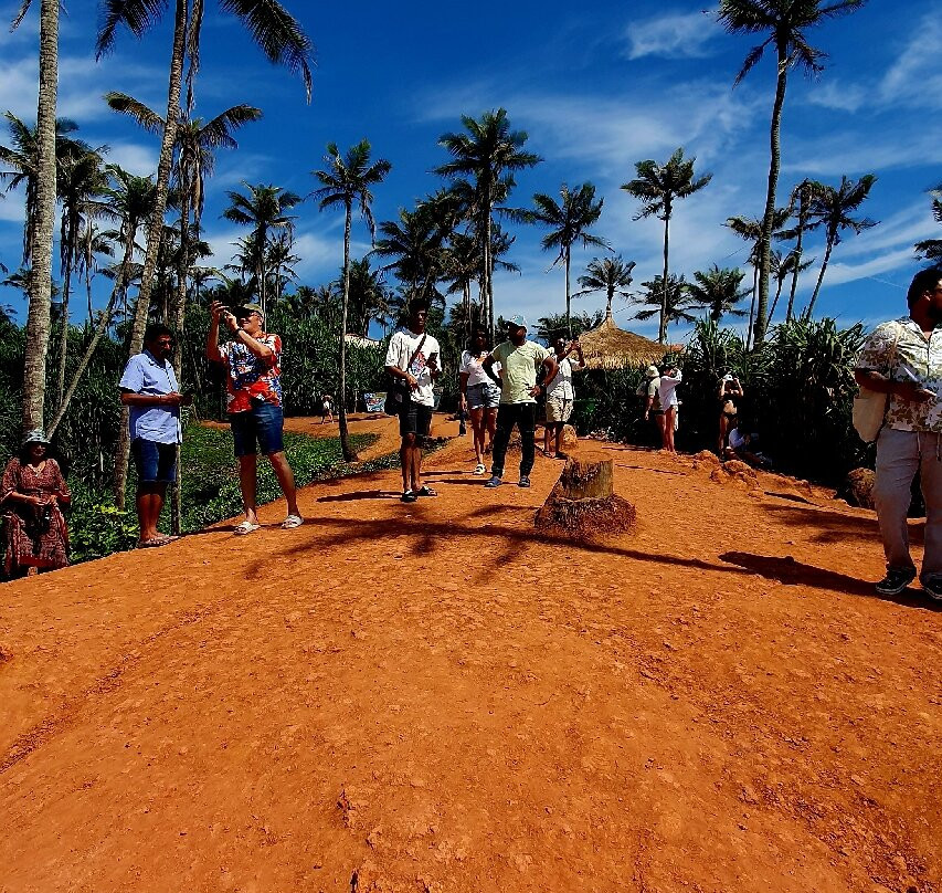 Coconut Tree Hill-美蕊沙必去景点