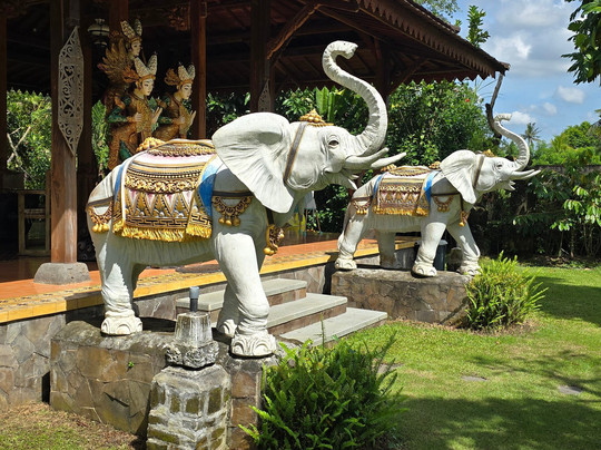 Pangkung Carik Villa by Pramana主图