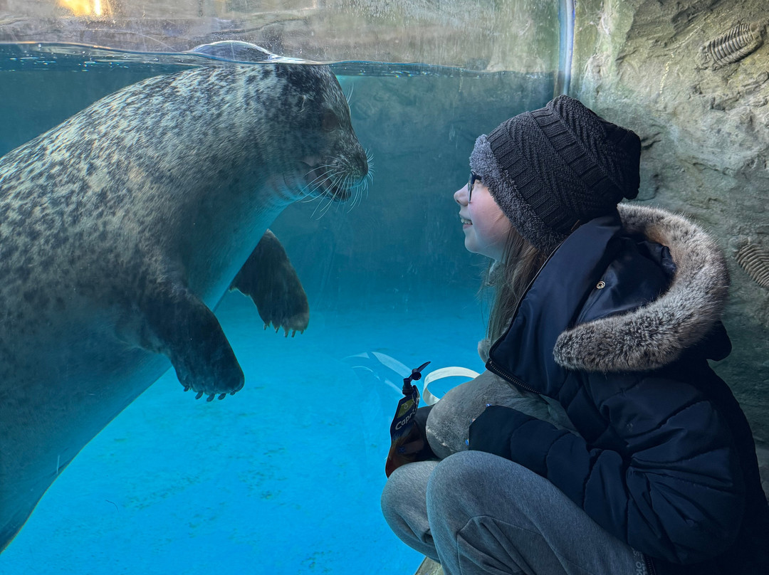 Sea Life Scarborough-斯卡伯勒必去景点