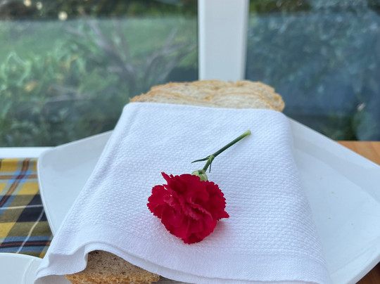 Seven Bed and Breakfast主图