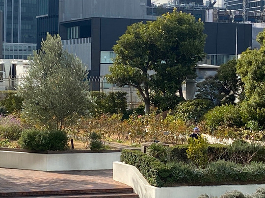 日本桥高岛屋S.C.-Nihonbashi必去景点