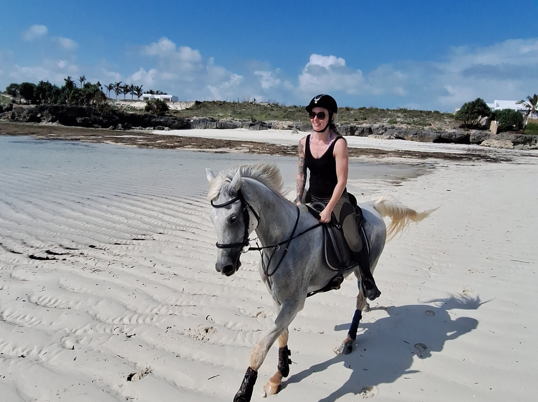 Zanzibar Horse Club-孥归必去景点