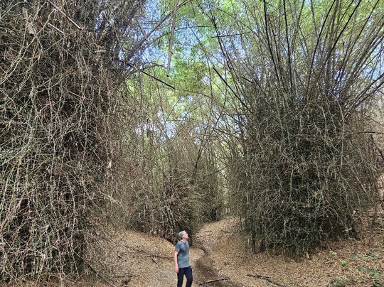 Safari 56 Limited-Dar es Salaam必去景点