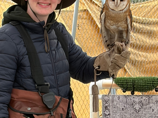 International Falconry Academy-Live Oak必去景点