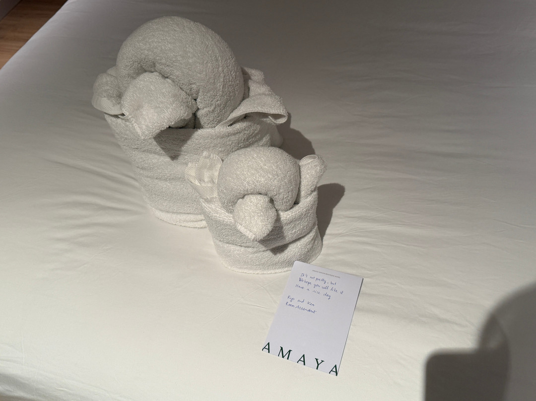 Amaya Saigon Boutique Hotel主图