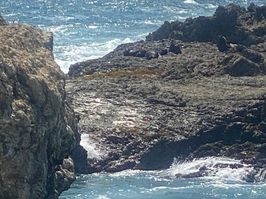 La Lobería-萨利纳斯必去景点