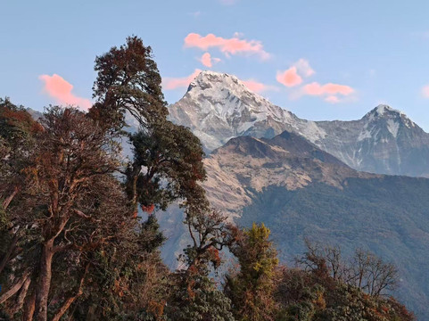 EARTH NEPAL Travel and Trek P. LTD-博卡拉必去景点