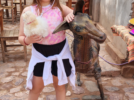 DESTINO SALTA-萨尔塔必去景点