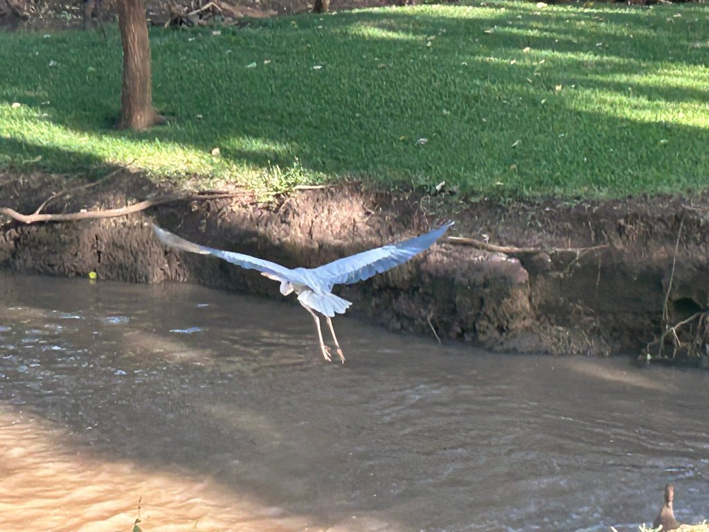 Voyager Ziwani Camp-官方