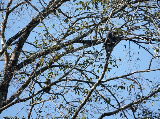 Vietnature Tour (cattien Wild Tour)-Tan Phu District必去景点