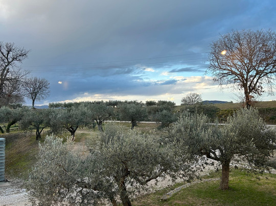 Azienda Agraria Perticaia-Montefalco必去景点