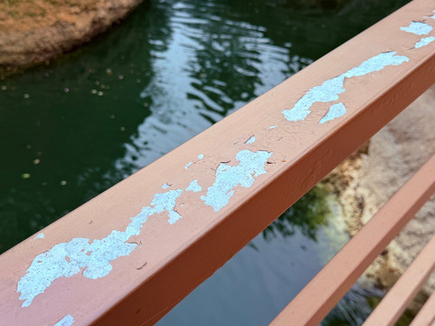 Cedar Lakes Woods & Gardens-Williston必去景点