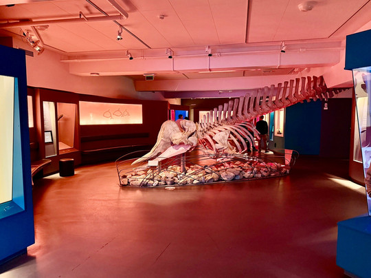 特罗姆瑟博物馆-特罗姆瑟必去景点