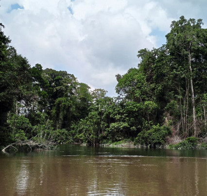Rio Tambococha-Coca必去景点