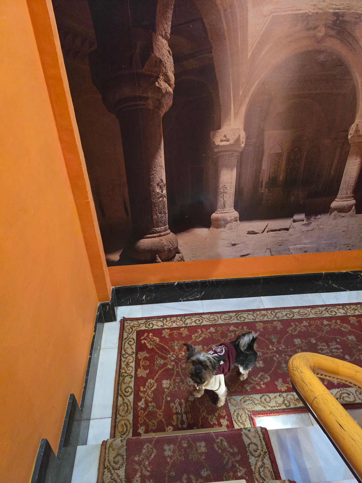 Sol Mediterraneo-官方