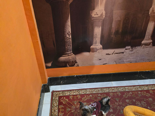 Pliego酒店住宿-Sol Mediterraneo