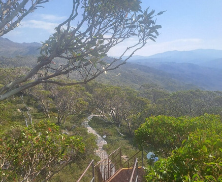 Snow Gums Boardwalk-Charlotte Pass必去景点