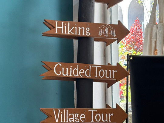 Travelling Thrills Ella-埃勒必去景点