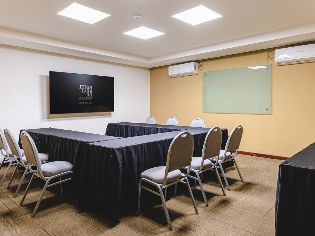 米纳斯皇家圣米格尔阿连德酒店主图