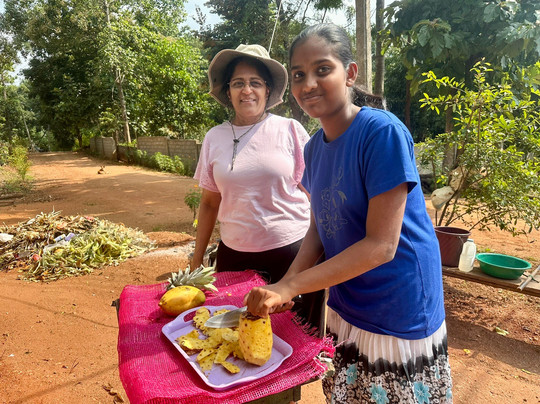 Sri Lanka Travel With Suresh-康提必去景点